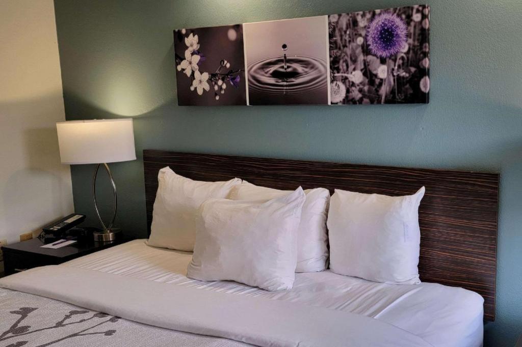 Sleep Inn Bessemer Helena Ngoại thất bức ảnh