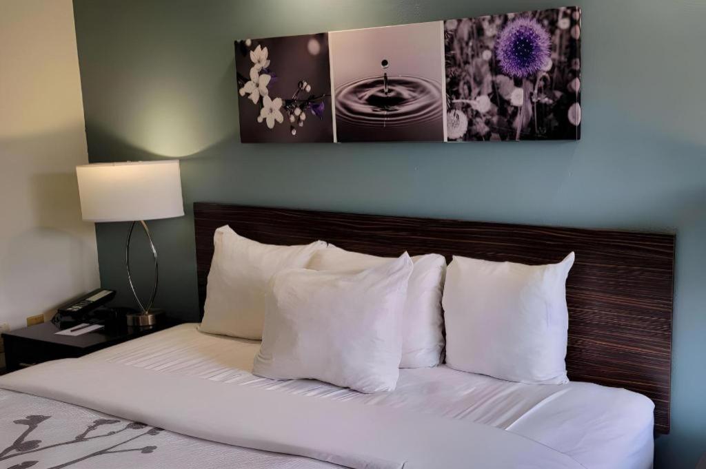 Sleep Inn Bessemer Helena Ngoại thất bức ảnh